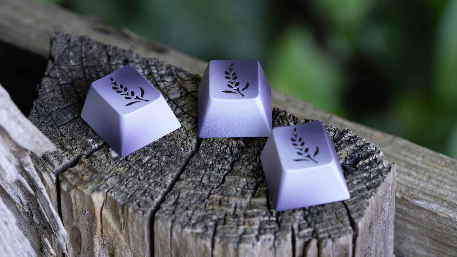 Lavender-Salvun-Novelty-Keycap-Mechanical-Keyboard-4